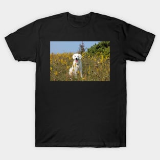 Ditte in the late summer flowers T-Shirt